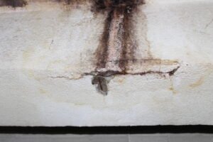 Corrosão em armadura com exsudação e fissuração do revestimento em elemento de concreto.