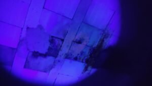 Laje sob iluminação UV com manchas e indícios de infiltração localizada em revestimento.