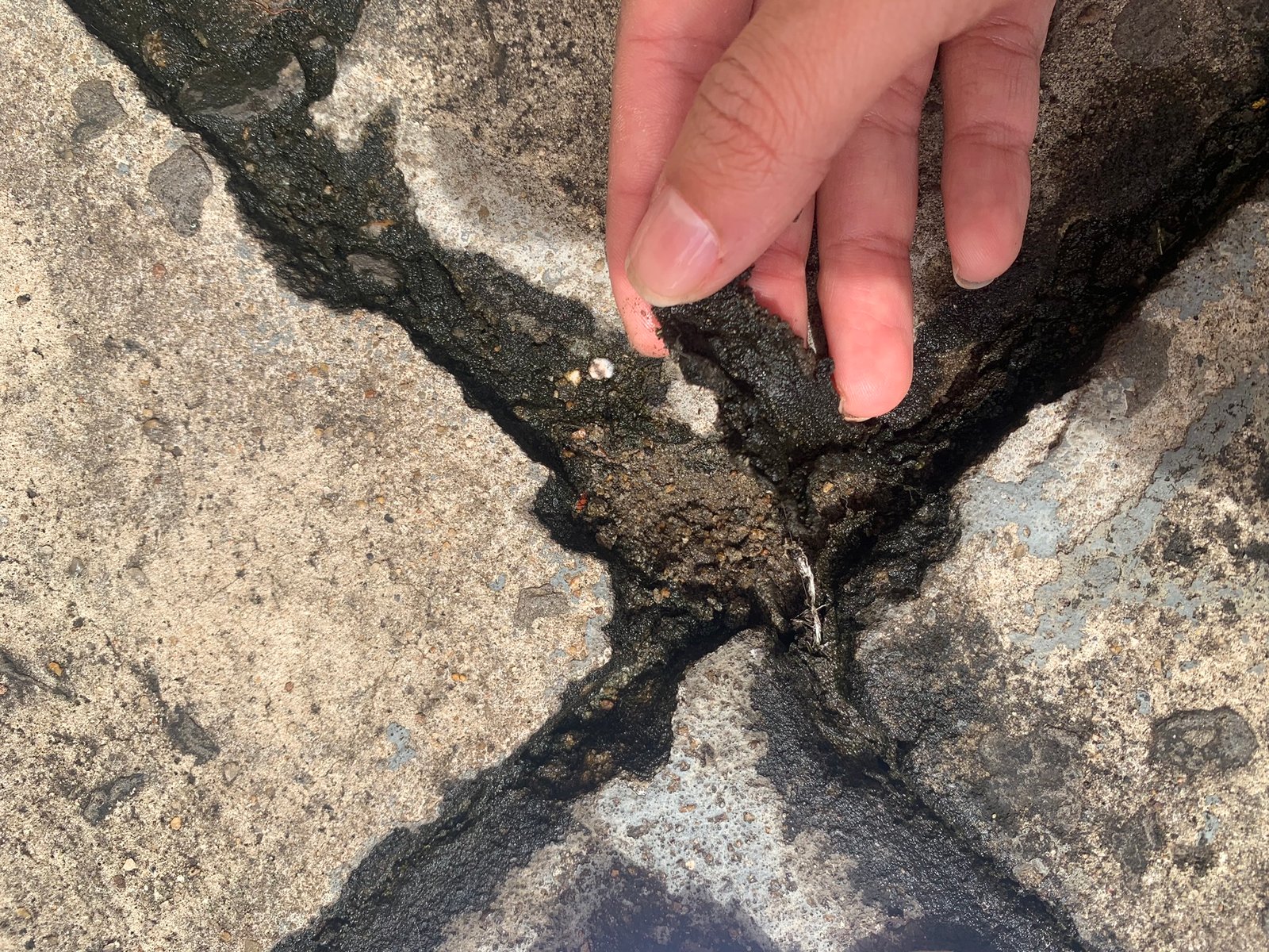 Junta de dilatação do piso aberta, com o material de vedação solto e ressecado