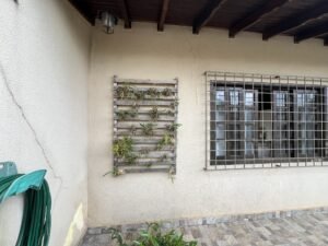 Fissura diagonal em parede externa de alvenaria, próxima ao canto da construção, com treliça de madeira com plantas e janela com grades ao fundo.