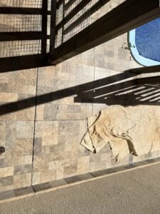 Piso de pedra externo com trinca visível ao lado de piscina, evidenciando desplacamento do revestimento.
