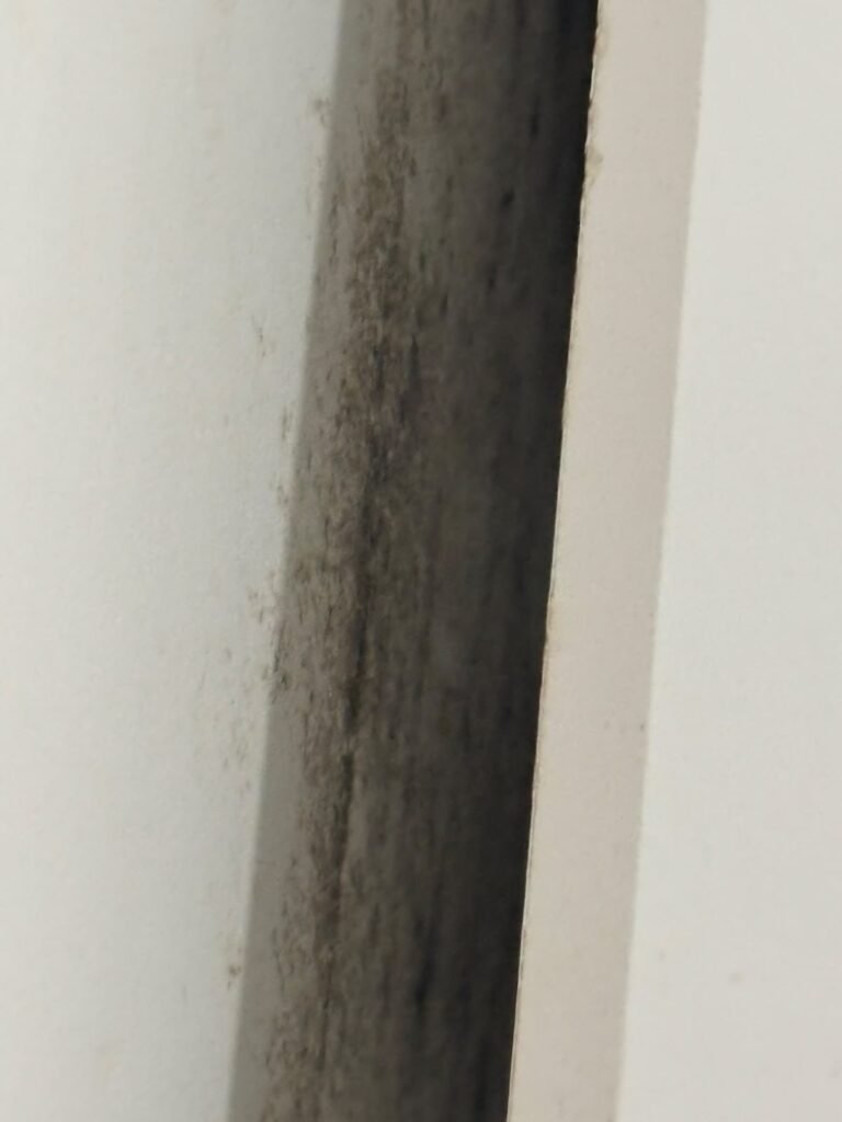 Mofo escuro na parede de fachada, no vão atrás de um guarda-roupa encostado na parede