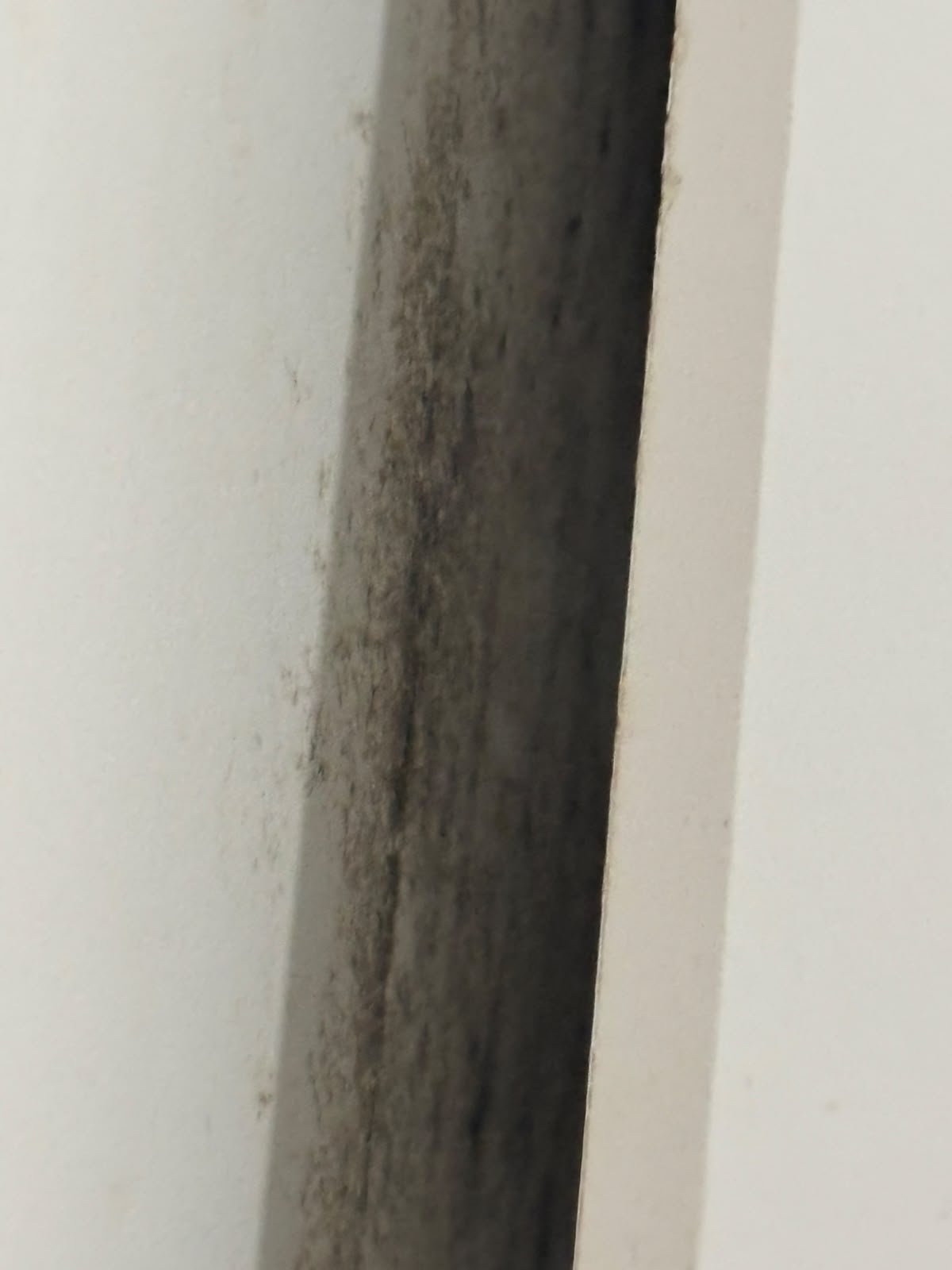 Mofo escuro na parede atrás do guarda-roupa encostado na parede externa